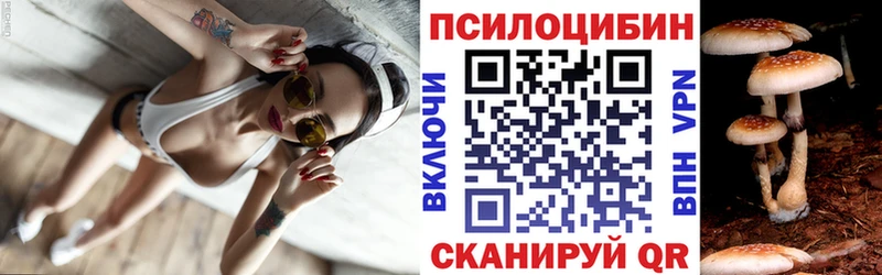 Галлюциногенные грибы прущие грибы  omg как зайти  Тара 